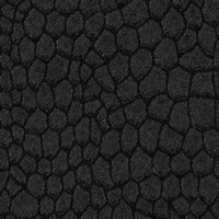 550 Faunal, Black swatch