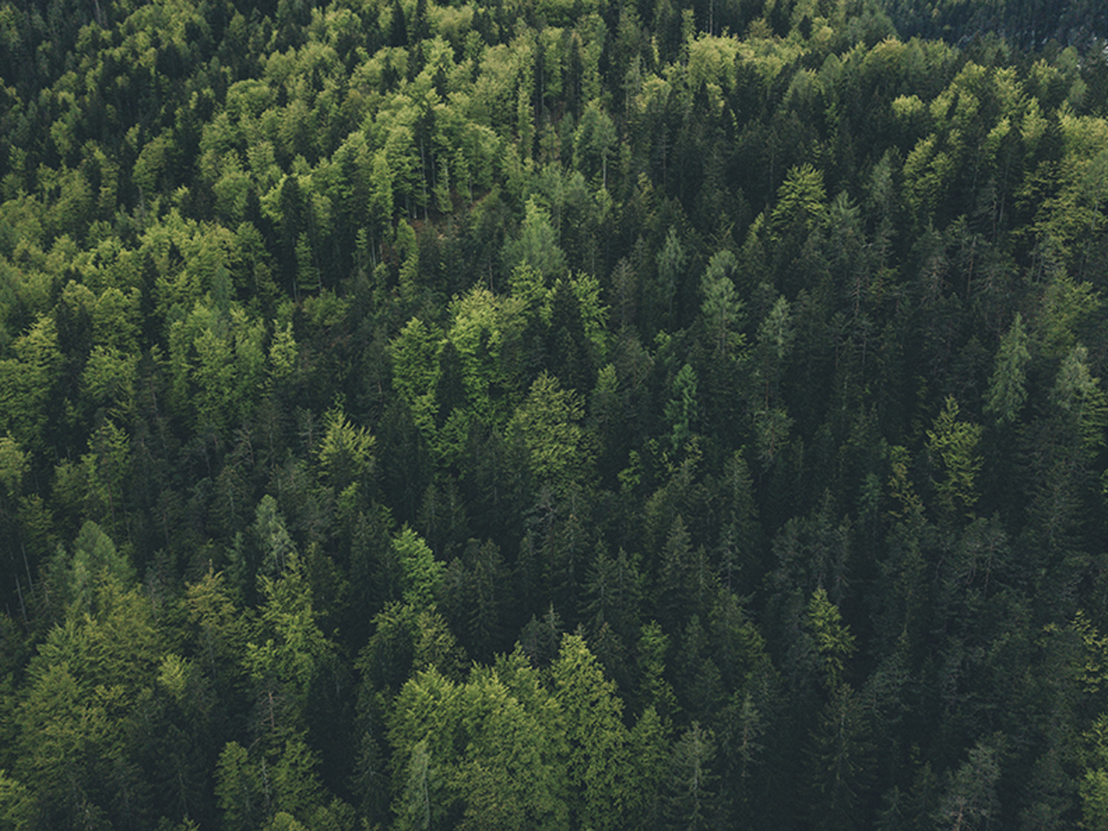 Tenksom zmanjšuje vpliv na naravo z optimizirano proizvodnjo in logistiko